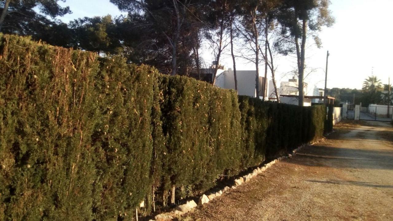 Appartement Pinomar à Teulada Extérieur photo
