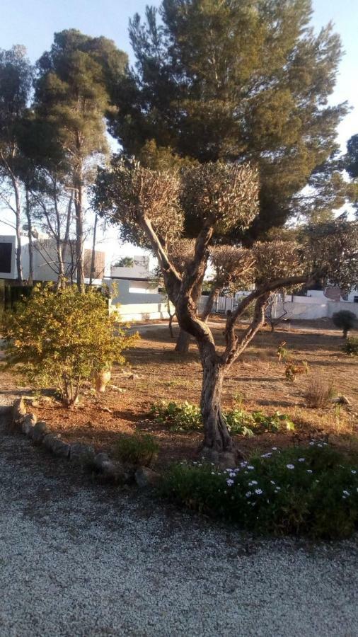Appartement Pinomar à Teulada Extérieur photo